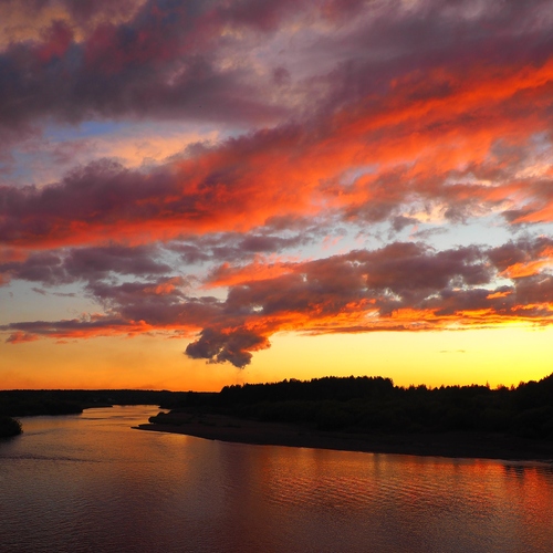 Photo #13793781