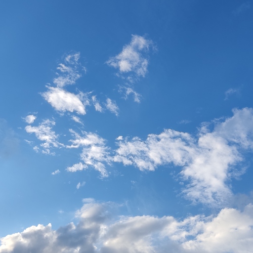 Photo #13793791