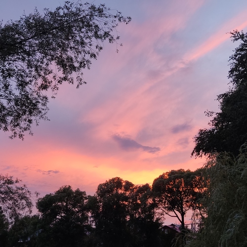 Photo #13793801