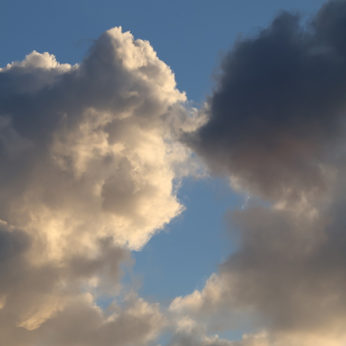 Photo #13793813