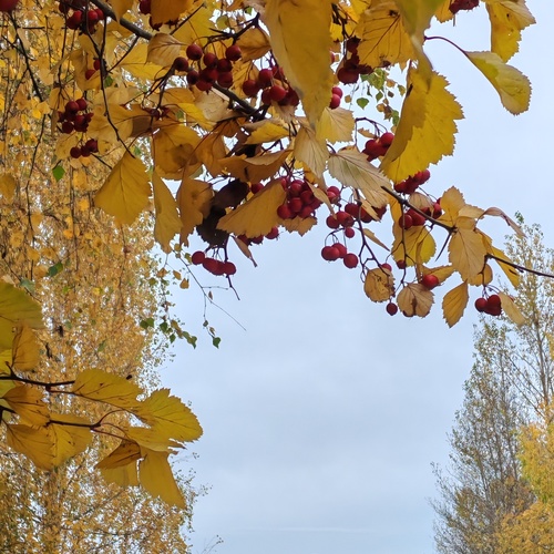 Photo #13793821