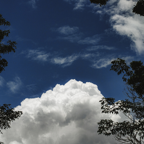 Photo #13793828