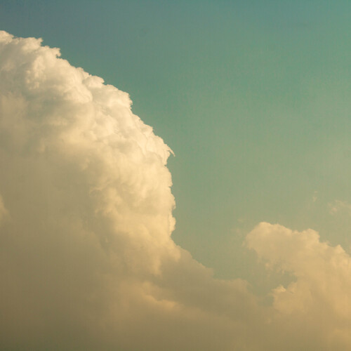 Photo #13793863