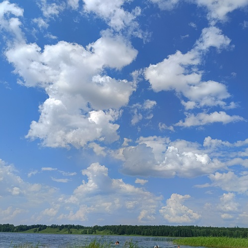 Photo #13793871