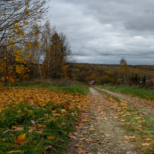 Photo #13793916