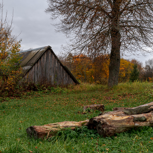 Photo #13793917