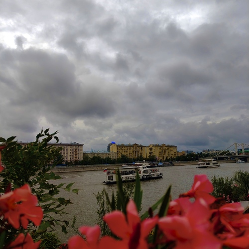 Photo #13793937
