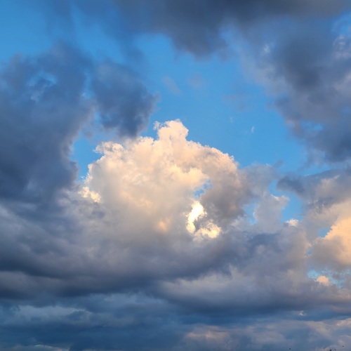 Photo #13793946