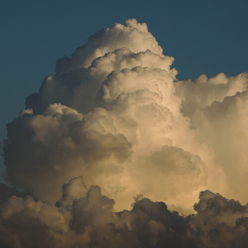 Photo #13793979