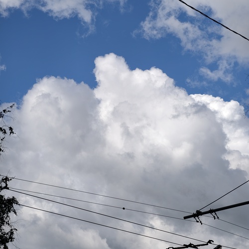 Photo #13794011