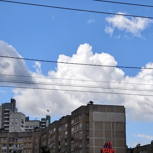 Photo #13794012