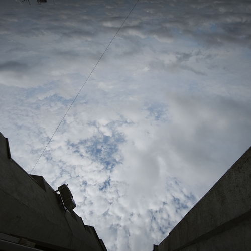 Photo #13794038