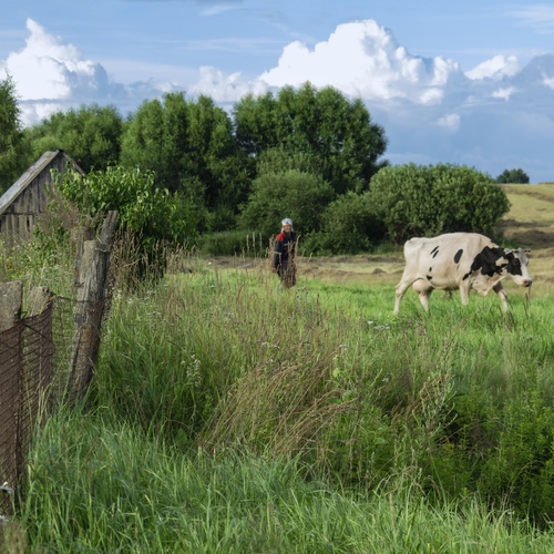 Photo #13794046