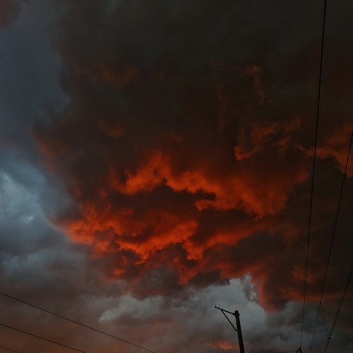 Photo #13794054