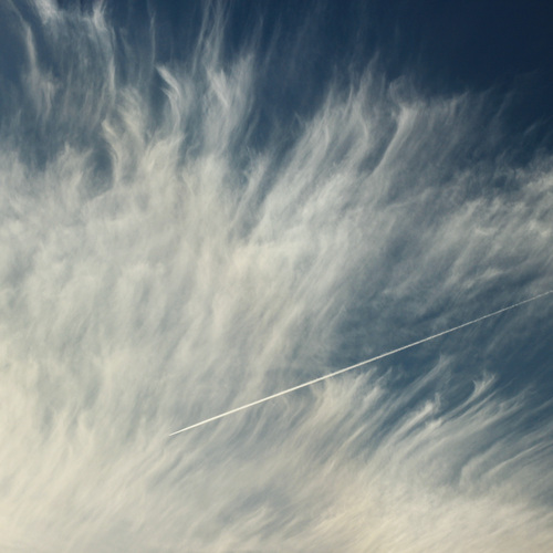 Photo #13794124