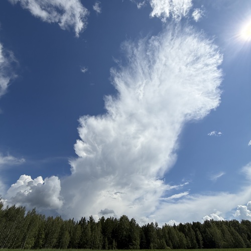 Photo #13794276