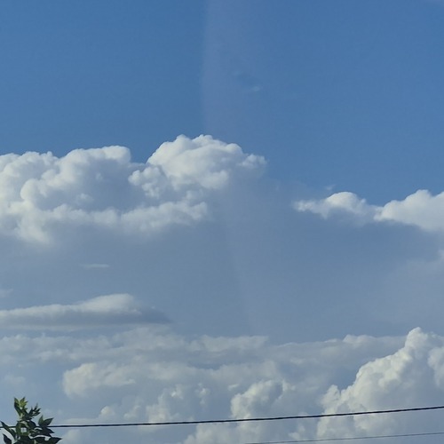 Photo #13794348