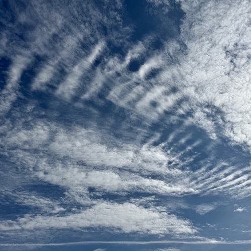 Photo #13794351