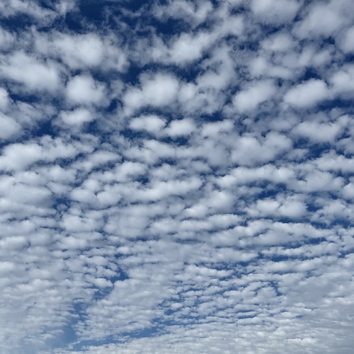 Photo #13794352