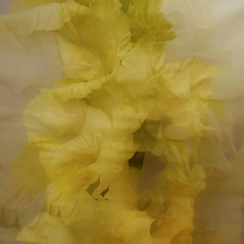 Photo #13794355