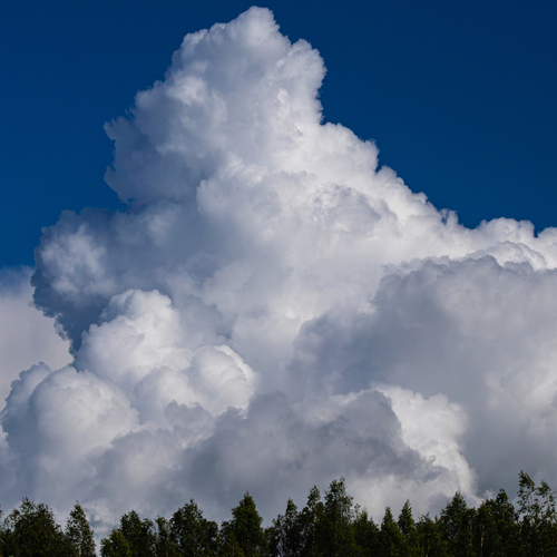 Photo #13794357