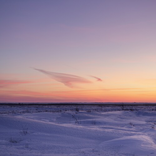 Photo #13794397