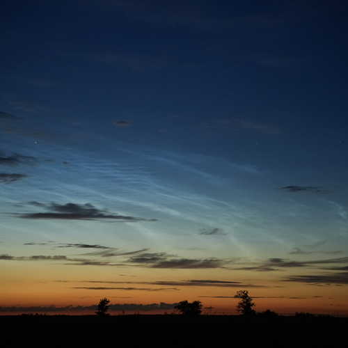 Photo #13794404