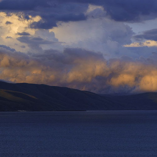 Photo #13794462