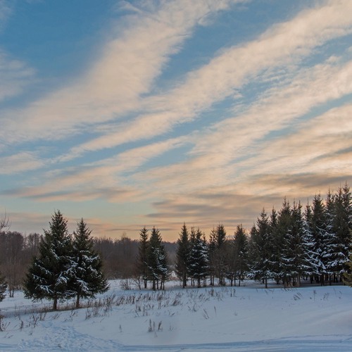 Photo #13794465