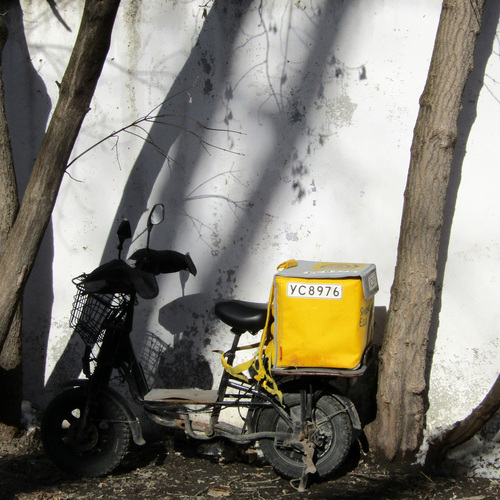 Photo #13794468