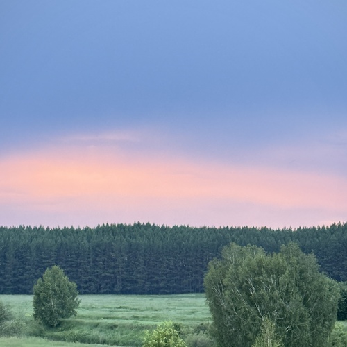 Photo #13794487