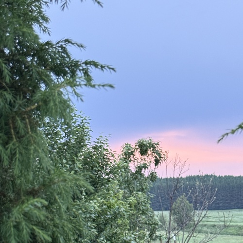 Photo #13794488
