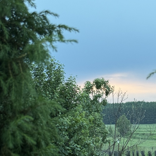 Photo #13794489