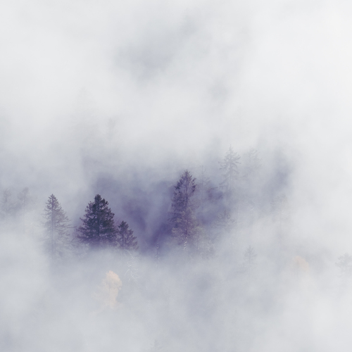 Photo #13794506