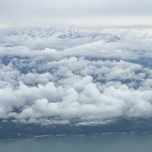 Photo #13794535
