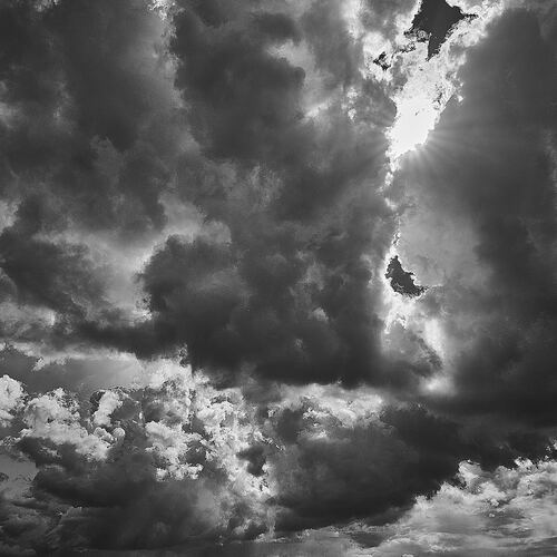 Photo #13794569