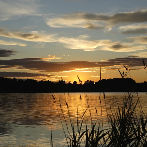 Photo #13794585