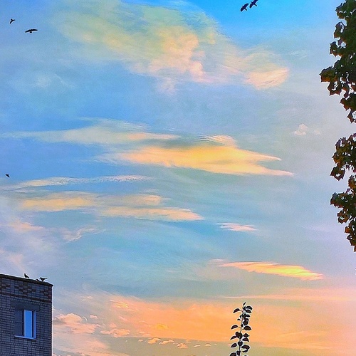 Photo #13794606