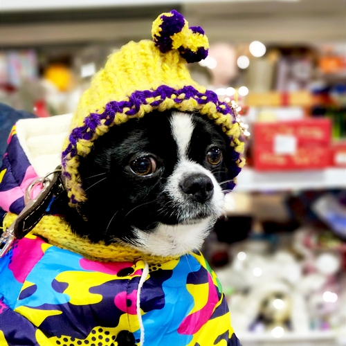 Photo #13794626
