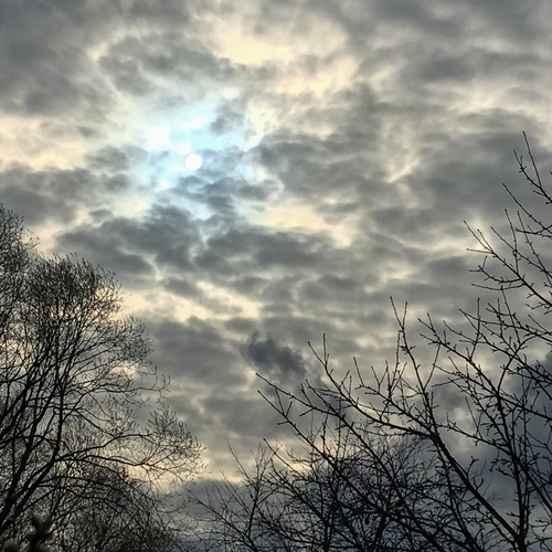 Photo #13794655
