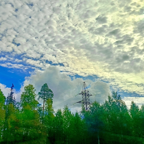 Photo #13794665
