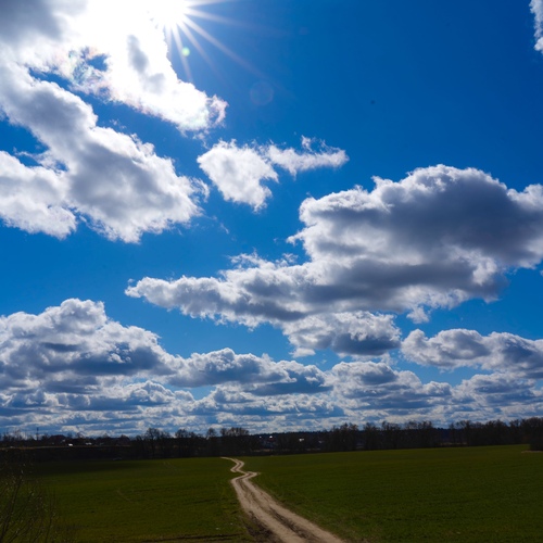 Photo #13794675