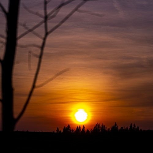 Photo #13794693