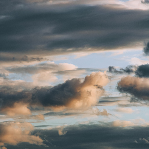 Photo #13794695