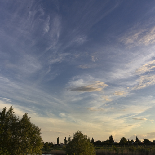 Photo #13794723
