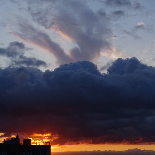 Photo #13794730