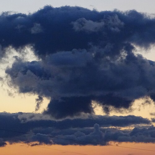 Photo #13794733