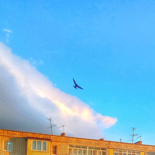 Photo #13794736
