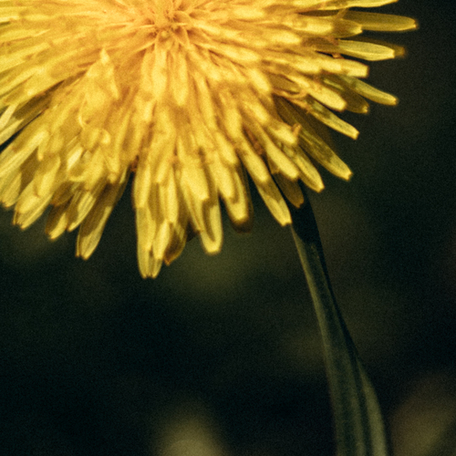 Photo #13794754