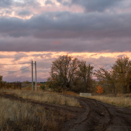 Photo #13794766